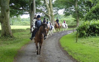 Anglais et équitation en Irlande