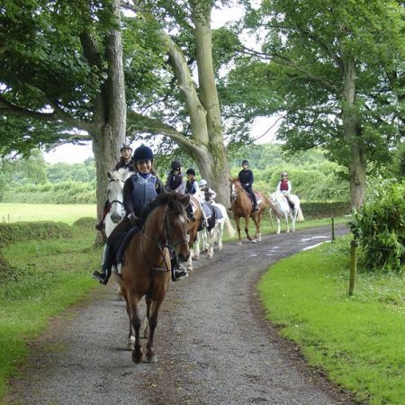 Programa de inglés y de equitación en Irlanda